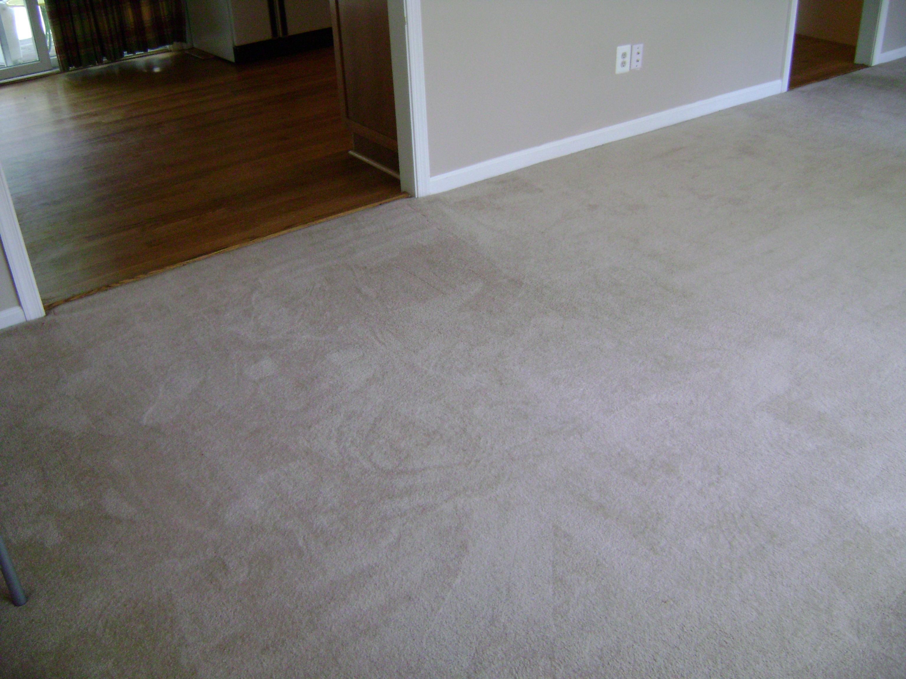After A Professional Carpet Cleaning Fairfax Va